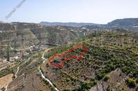8362 SQM Plot in Dora (Limassol) for sale 