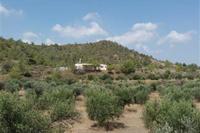 3 Bedroom Detached house in Alampra (Nicosia) for sale 