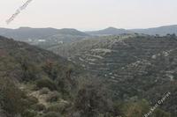 24415 SQM Land in Apesia (Limassol) for sale 