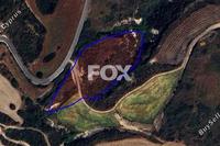 8696 SQM Land in Goudi (Paphos) for sale 
