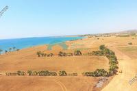 73059 SQM Land in Mazotos (Larnaca) for sale 