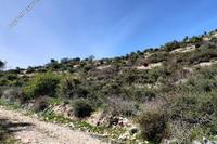 3950 SQM Land · Koilani (Limassol) for sale 