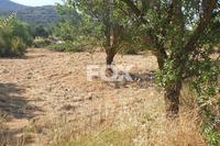 2825 SQM Land · Potamos Germasogeias (Limassol) for sale 