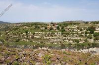 1041 SQM Land · Vasa Kilaniou (Limassol) for sale 