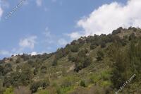 0 SQM Land · Palaichori Morfou (Nicosia) for sale 