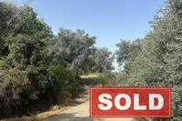1255 SQM Land in Linou (Nicosia) for sale 