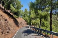 10802 SQM Land in Pigenia (Nicosia) for sale 