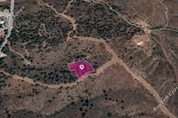 3345 SQM Land in Evrychou (Nicosia) for sale 