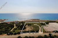 6627 SQM Land in Ayia Napa (Famagusta) for sale 