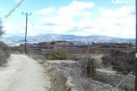 7440 SQM Land in Letymvou (Paphos) for sale 