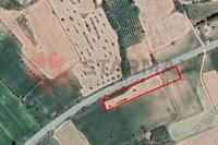 5830 SQM Land · Mazotos (Larnaca) for sale 