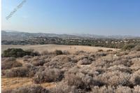 136860 SQM Land · Psematismenos (Larnaca) for sale 