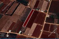 6451 SQM Land · Ormideia (Larnaca) for sale 