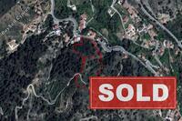 17057 SQM Land in Kakopetria (Nicosia) for sale 
