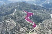 88660 SQM Land in Louvaras (Limassol) for sale 
