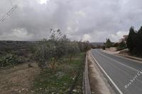2536 SQM Land in Letymvou (Paphos) for sale 