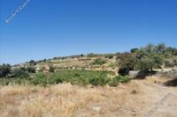 4348 SQM Land · Pachna (Limassol) for sale 