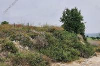 3249 SQM Land · Pachna (Limassol) for sale 