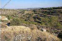 6355 SQM Land in Agios Therapon (Limassol) for sale 