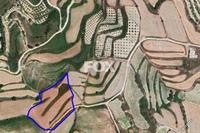 14048 SQM Land in Stroumbi (Paphos) for sale 