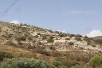 30436 SQM Land · Amargeti (Paphos) for sale 
