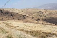 24081 SQM Land · Pentalia (Paphos) for sale 