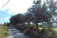 16723 SQM Land · Drynia (Paphos) for sale 