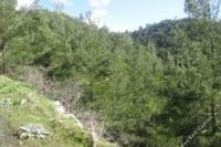 40444 SQM Land · Spilia (Nicosia) for sale 