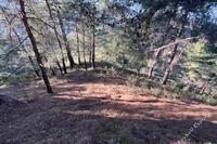 23078 SQM Land in Farmakas (Nicosia) for sale 