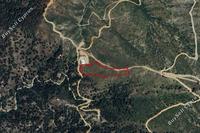4683 SQM Land · Kakopetria (Nicosia) for sale 