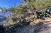 23078 SQM Land · Farmakas (Nicosia) for sale 
