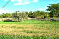 5685 SQM Plot in Shia (Nicosia) for sale 