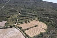 5017 SQM Land · Kathikas (Paphos) for sale 