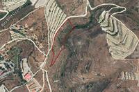10271 SQM Land · Arsos Lemesou (Limassol) for sale 