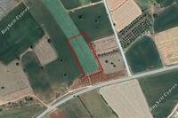 5686 SQM Land in Mazotos (Larnaca) for sale 