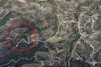 11892 SQM Land · Nikitari (Nicosia) for sale 