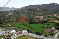 10939 SQM Land in Mosfiloti (Larnaca) for sale 