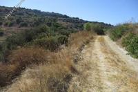 3679 SQM Land · Polemi (Paphos) for sale 