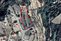 6015 SQM Land in Tsada (Paphos) for sale 