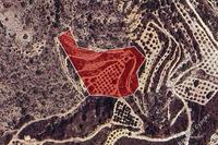 8362 SQM Land in Choirokoitia (Larnaca) for sale 