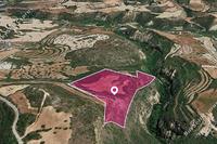 28428 SQM Land in Kritou Tera (Paphos) for sale 