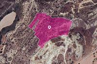 23000 SQM Land · Skarinou (Larnaca) for sale 