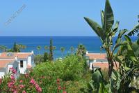3 Bedroom Detached house · Latsi (Paphos) for sale 