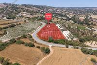 7156 SQM Land in Letymvou (Paphos) for sale 