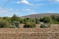 2007 SQM Land in Mitsero (Nicosia) for sale 