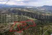 23413 SQM Plot in Dora (Limassol) for sale 