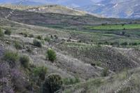 7693 SQM Land · Galataria (Paphos) for sale 