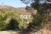 13686 SQM Land · Sanida (Limassol) for sale 
