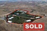 61650 SQM Land · Marki (Nicosia) for sale 