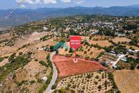 7358 SQM Land in Fyti (Paphos) for sale 